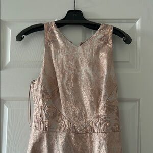 Theia Blush Backless Dress